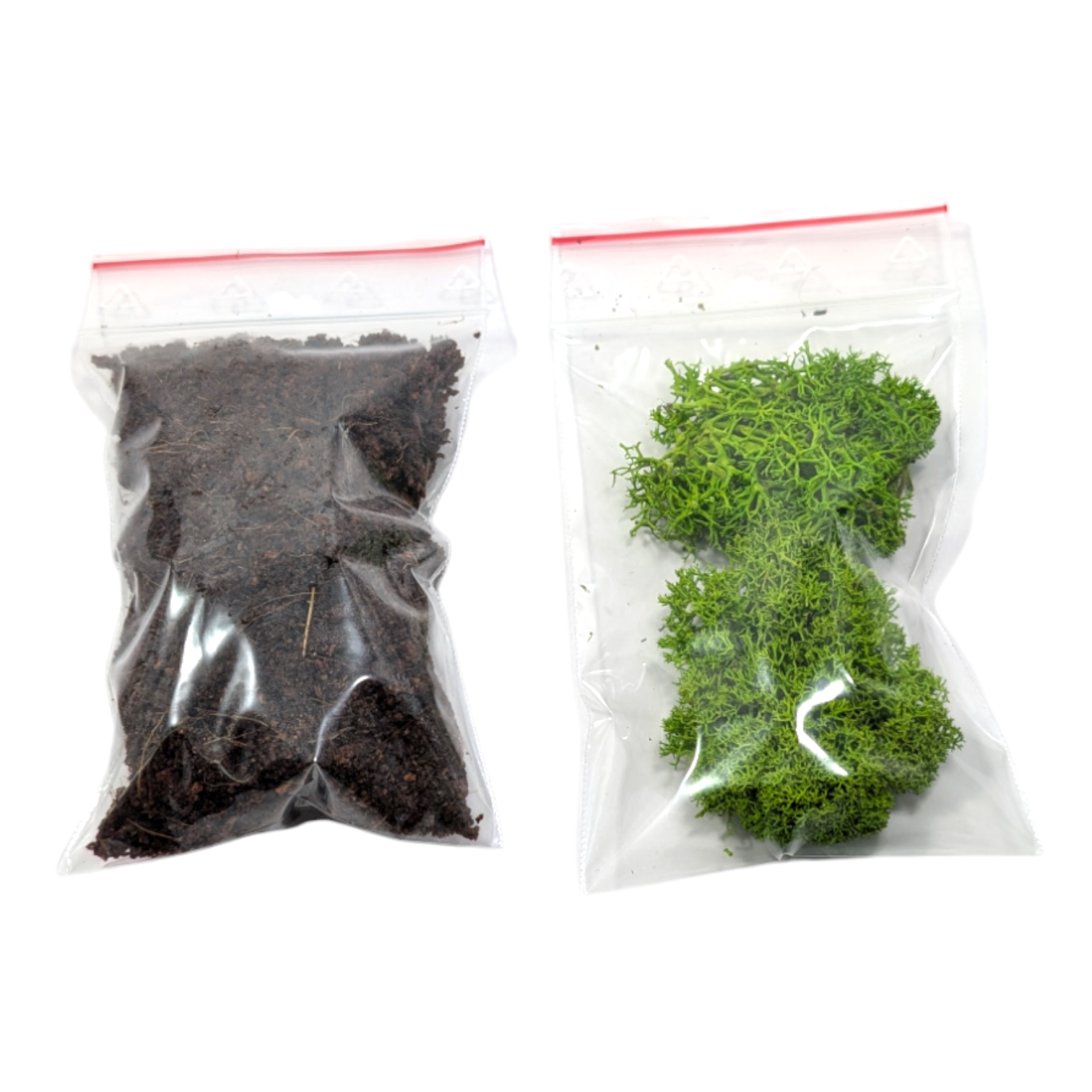 Terrarium szklane 7x7x13 zestaw ze ścianką - obrazek 5