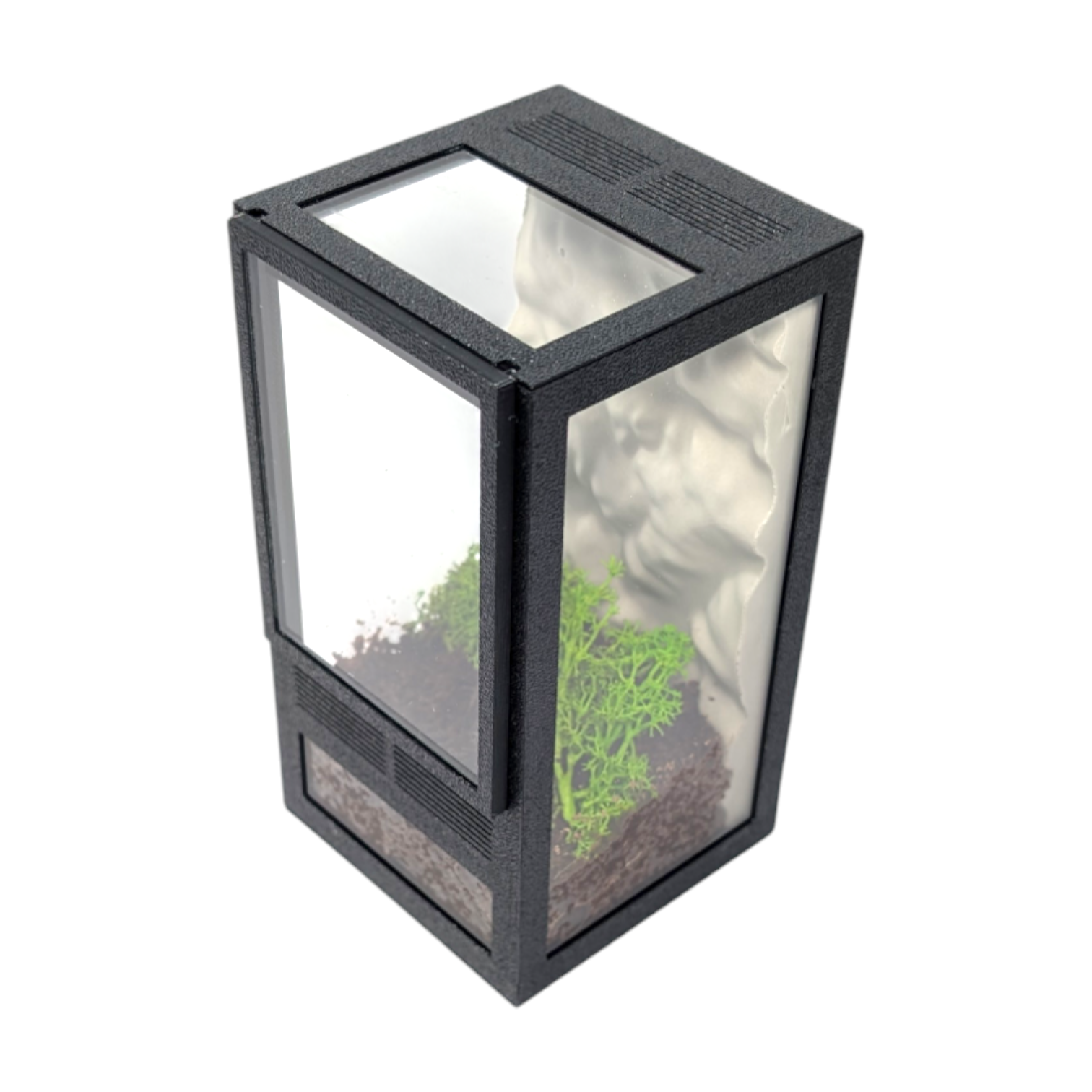 Terrarium szklane 7x7x13 zestaw ze ścianką