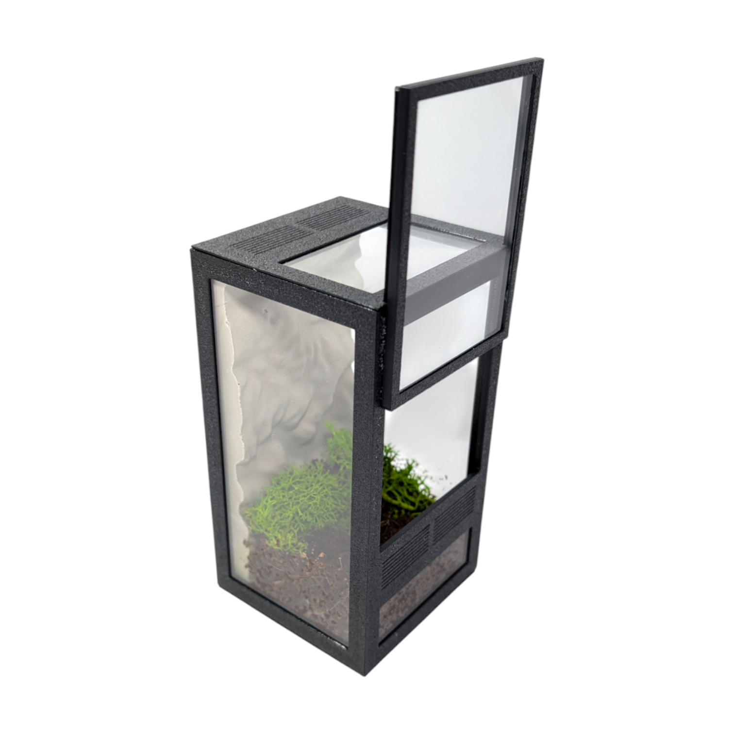 Terrarium szklane 7x7x13 zestaw ze ścianką - obrazek 2